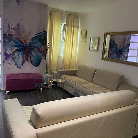 Dorotea Butterfly Budva Exterior photo